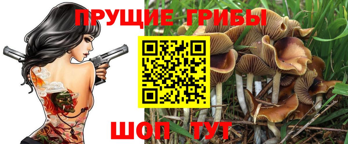 Псилоцибиновые грибы MAGIC MUSHROOMS Гусь-Хрустальный